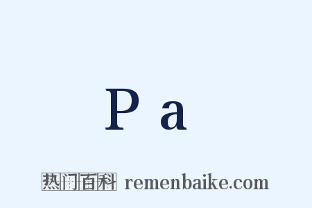 Pa是什么意思的图片